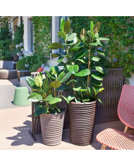 SLIDE Pot S