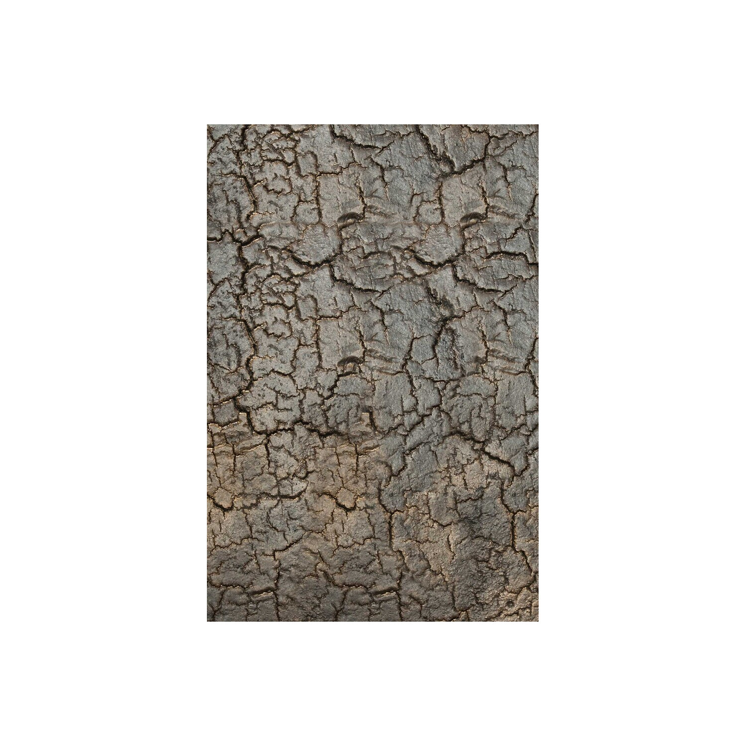 TRIPTIC rectangular side table Ethnicraft