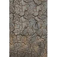 Table d'appoint rectangulaire TRIPTIC Ethnicraft