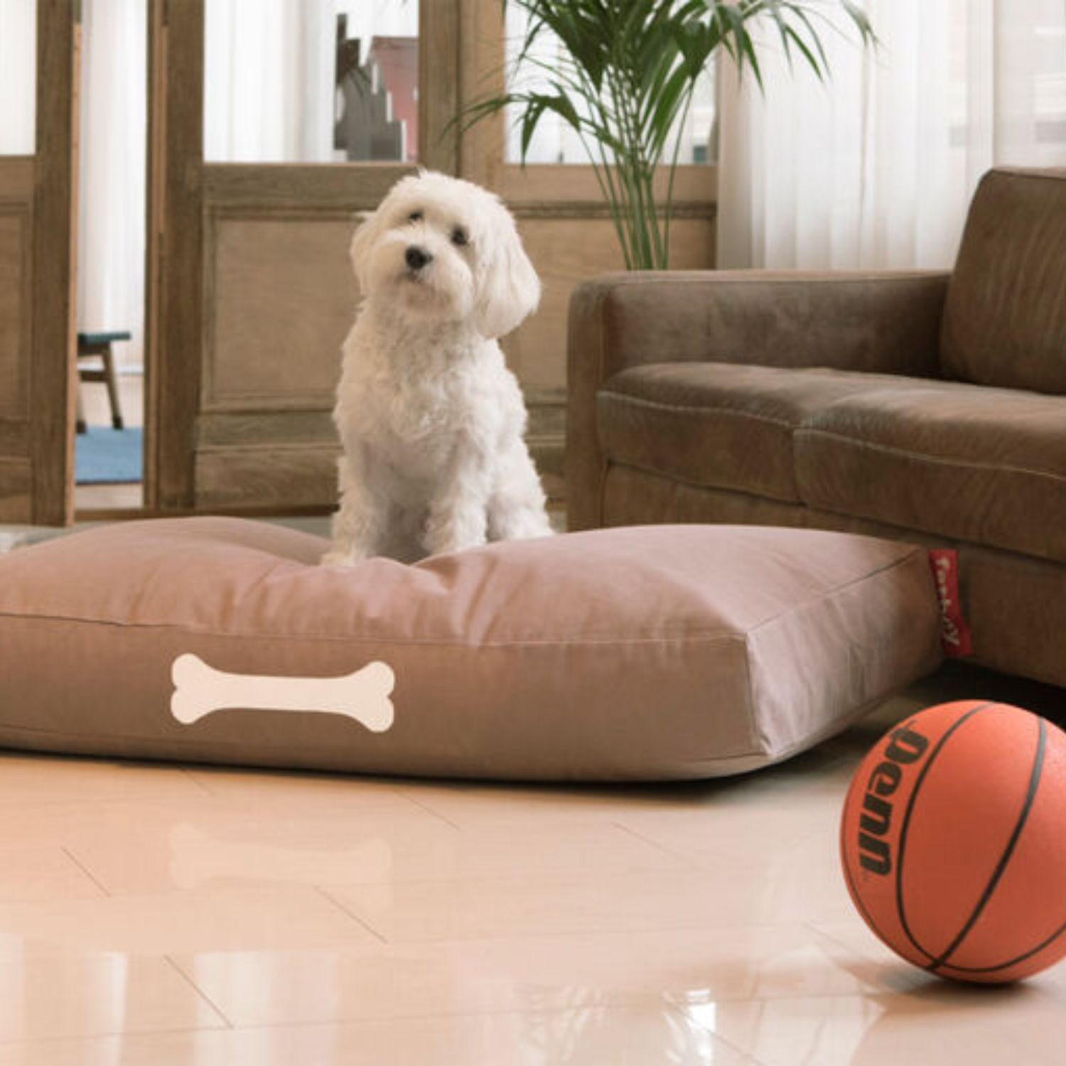 DOGGIELOUNGE Large Fatboy dog bed
