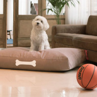 DOGGIELOUNGE Large Fatboy dog bed